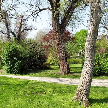 Casa Del Ligustro By Interhome Strassoldo