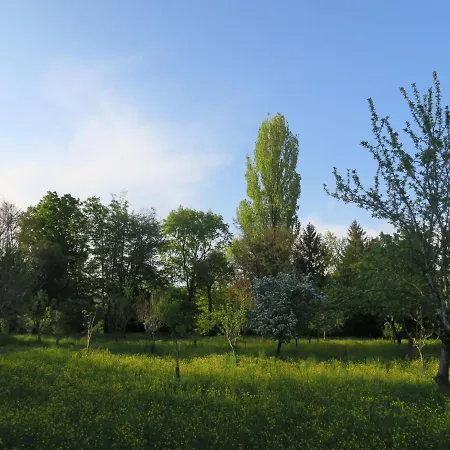 Casa Del Ligustro By Interhome Apartman *